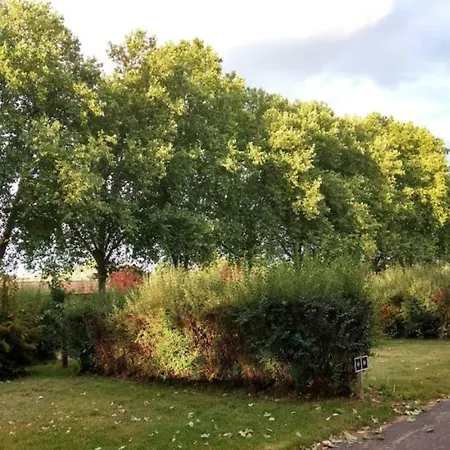 Faro's Citylights - Amazing Roof Terrace Σπίτι διακοπών Μάλαγα